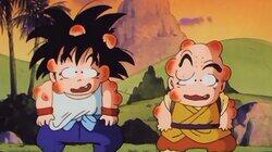 The Turtle Hermit Way The Turtle Hermit Way