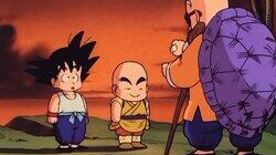 Find That Stone! Find That Stone!