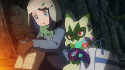 Liko and Amethio