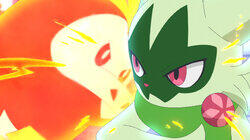 Shine on, Terastallization! Liko vs. Roy! Shine on, Terastallization! Liko vs. Roy!