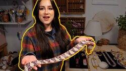 How Shells Tell Native History How Shells Tell Native History