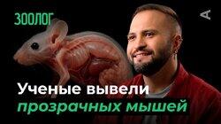 10 глупых вопросов ЗООЛОГУ 10 глупых вопросов ЗООЛОГУ