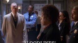 Bloodlines Bloodlines
