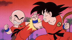Goku vs. Krillin Goku vs. Krillin