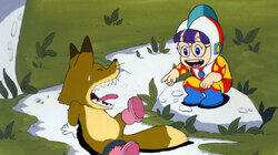 The Story of Donbe The Story of Donbe