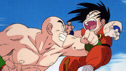 Final Match: Goku vs. Tien Shinhan