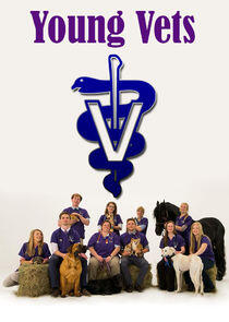 Young Vets Young Vets