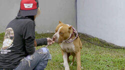 Divine Rescue Divine Rescue