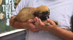 Dumped Dumped