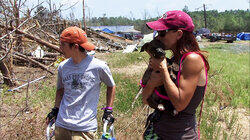 Path of Destruction Path of Destruction
