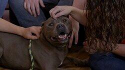 My Underdog Life My Underdog Life