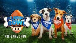Puppy Bowl XIX Puppy Bowl XIX