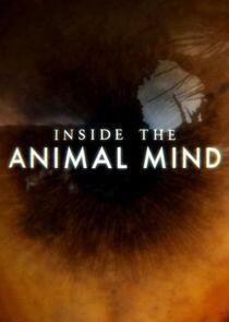 Inside the Animal Mind Inside the Animal Mind