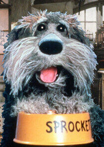 Sprocket Sprocket