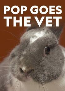 Pop Goes the Vet Pop Goes the Vet
