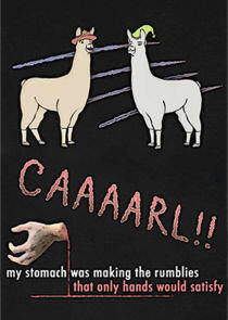 Llamas with Hats Llamas with Hats