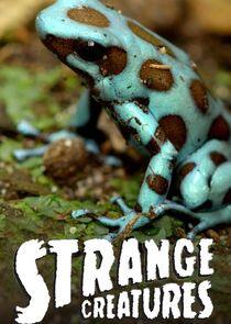 Strange Creatures Strange Creatures