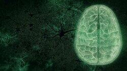 Your Brain: Who's in Control? Your Brain: Who's in Control?