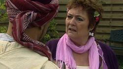 Aflevering 310 Aflevering 310