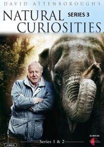 David Attenborough's Natural Curiosities - Season 3 David Attenborough's Natural Curiosities - Season 3