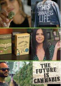 The Future Is Cannabis The Future Is Cannabis