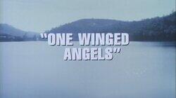 One Winged Angels One Winged Angels