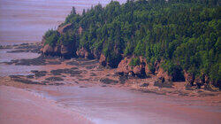 Bay of Fundy, New Brunswick Bay of Fundy, New Brunswick