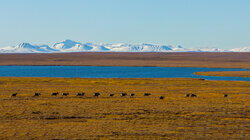 Dempster Highway North Dempster Highway North