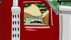 Trucked Up! Trucked Up!