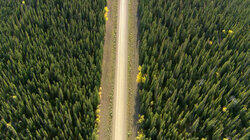 Dempster Highway South Dempster Highway South