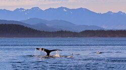 Vancouver Island North Vancouver Island North