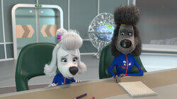 Радиация атакует