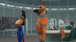 Лунное ралли