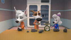 Живые камни