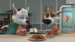 Лунные сутки