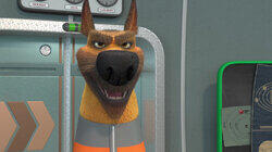 Желания для Белки