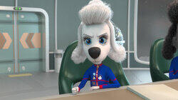 Хвостатая гостья