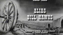 Alias Bill Hawks