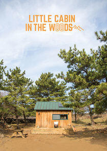 Little Cabin in the Woods Little Cabin in the Woods
