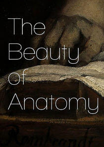 The Beauty of Anatomy The Beauty of Anatomy