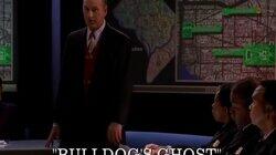 Bulldog's Ghost