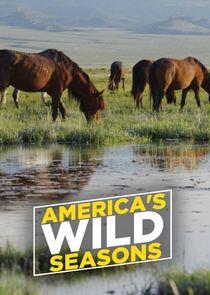 America's Wild Seasons America's Wild Seasons