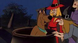When You Witch Upon a Star When You Witch Upon a Star