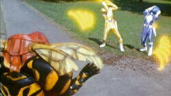 Grumble Bee Grumble Bee
