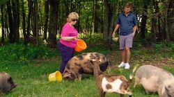 Faye's Pig Adventure Faye's Pig Adventure