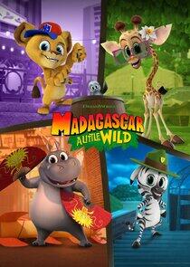 Madagascar: A Little Wild Madagascar: A Little Wild