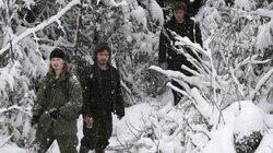 The Wild Life The Wild Life