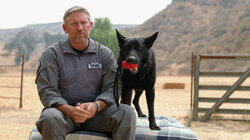Super Dogs Super Dogs