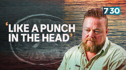 'Like a Punch in the Head' 'Like a Punch in the Head'