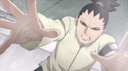 Shikadai's Decision Shikadai's Decision